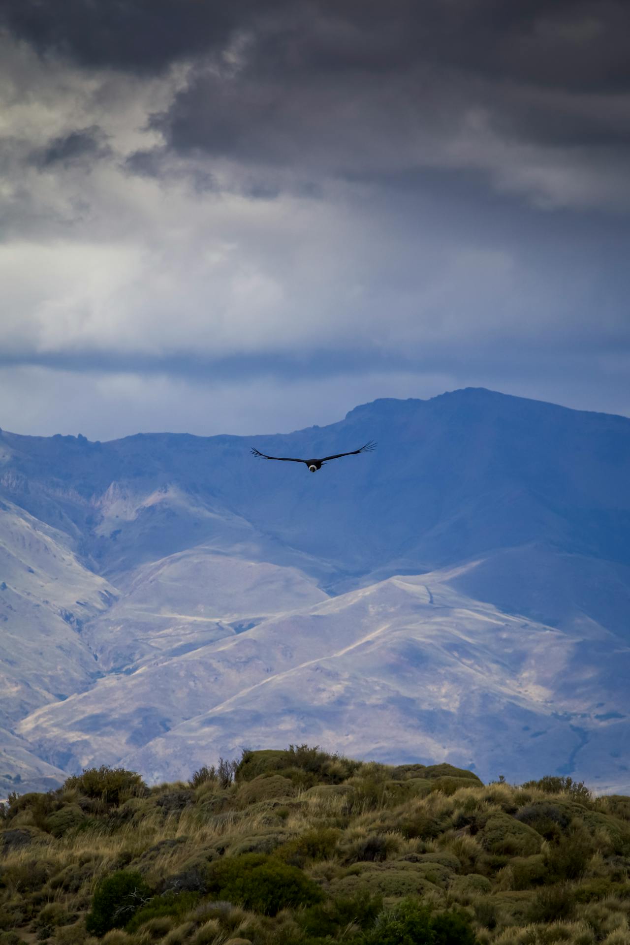 Colca